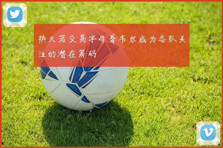 热火若交易字母哥韦尔成为各队关注的潜在筹码
