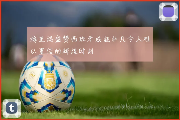 梅里诺盛赞西班牙成就非凡令人难以置信的辉煌时刻